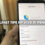 Cara Melihat Tipe HP Vivo di Pengaturan Aplikasi