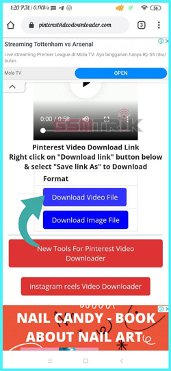3 Pilih Download Video File