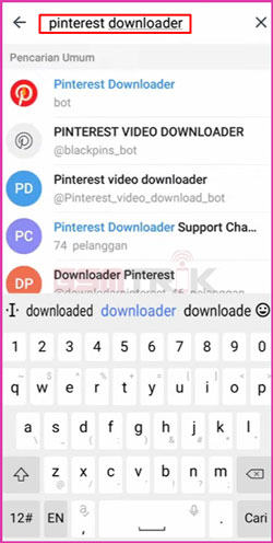 2 Cari Bot Pinterest Downloader