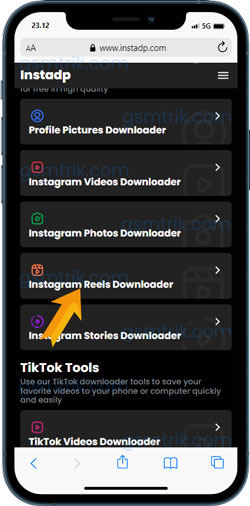 Pilih Instagram Video Downloader Instadp