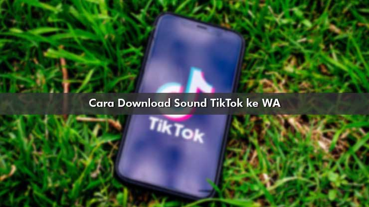Cara Download Sound TikTok ke WA