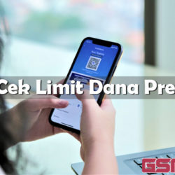Cara Cek Limit Dana Premium